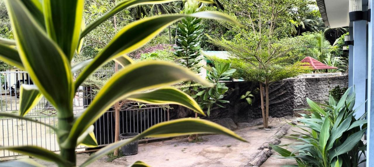 Kuta  Sakila Homestay מראה חיצוני תמונה